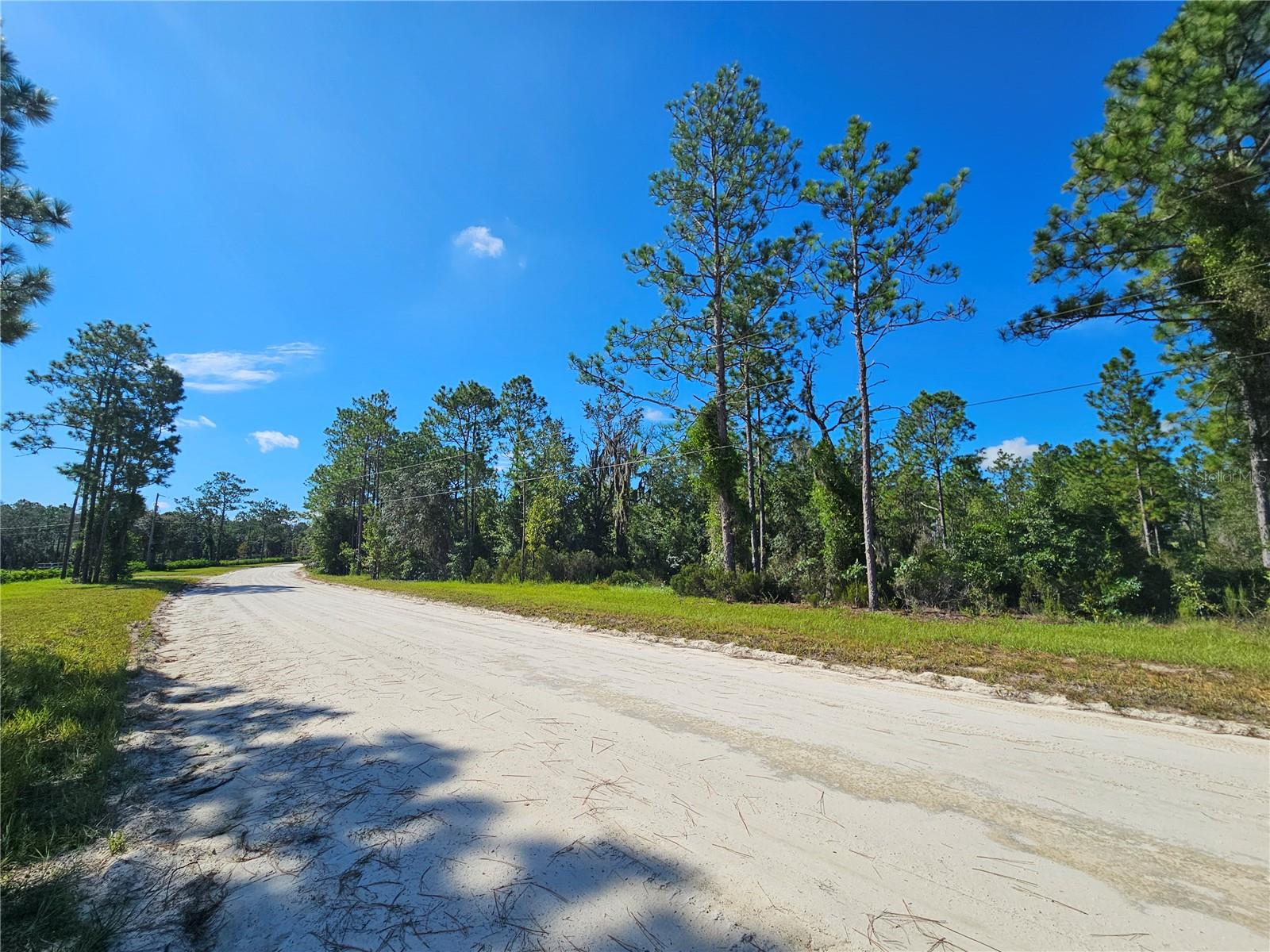 Photo of 0000 NE 38TH PLACE WILLISTON FL 32696