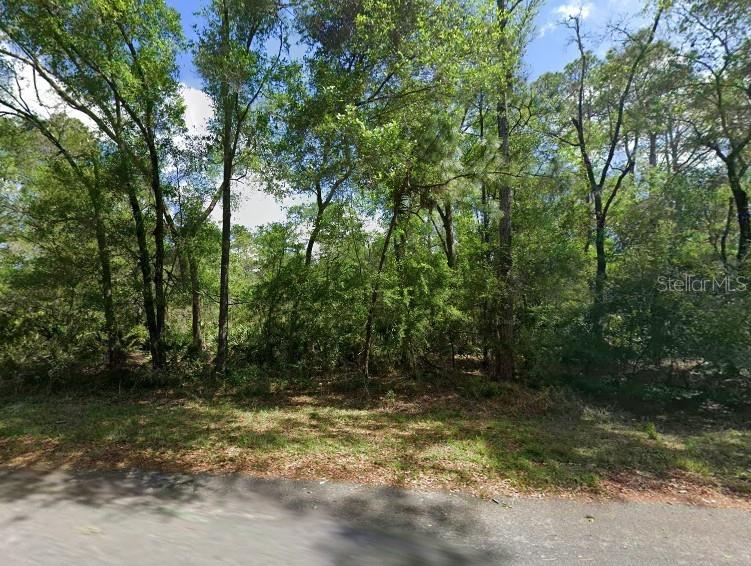 Photo of 11476 W COCKSCOMB DRIVE CRYSTAL RIVER FL 34428