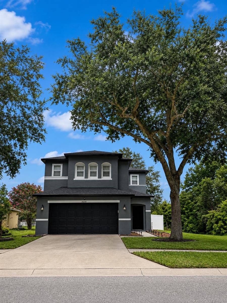 Photo of 18941 SUNTERRA DRIVE LAND O LAKES FL 34638