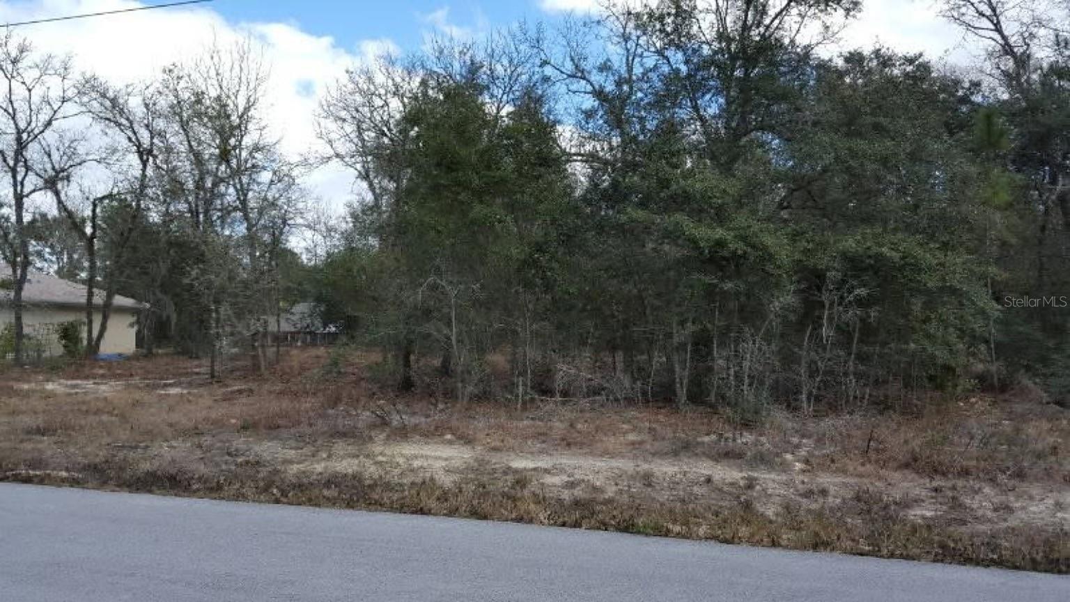 Photo of 0 SE 88TH CT SUMMERFIELD FL 34491