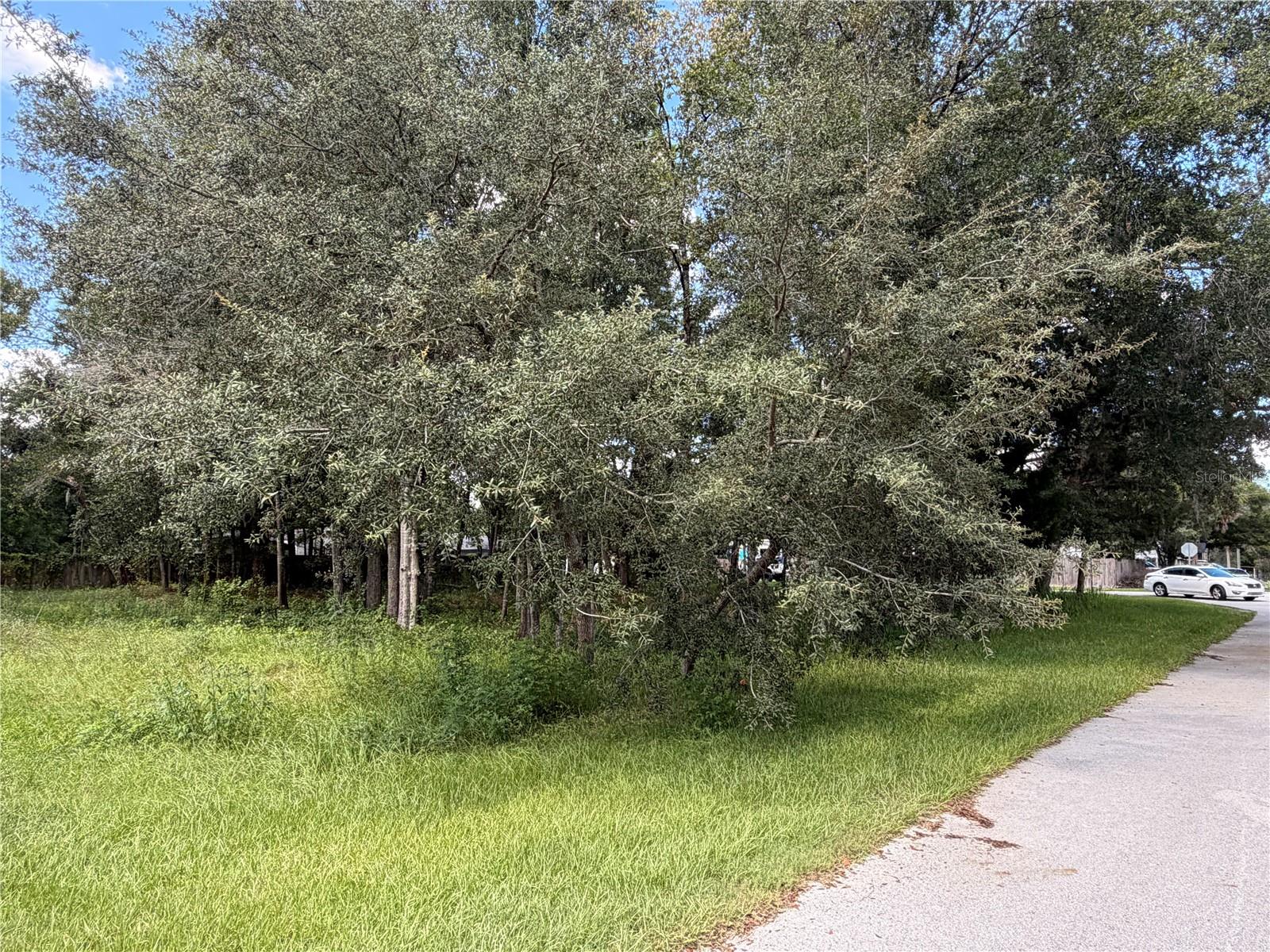 Photo of 7457 W TURKEYNECK COURT HOMOSASSA FL 34448