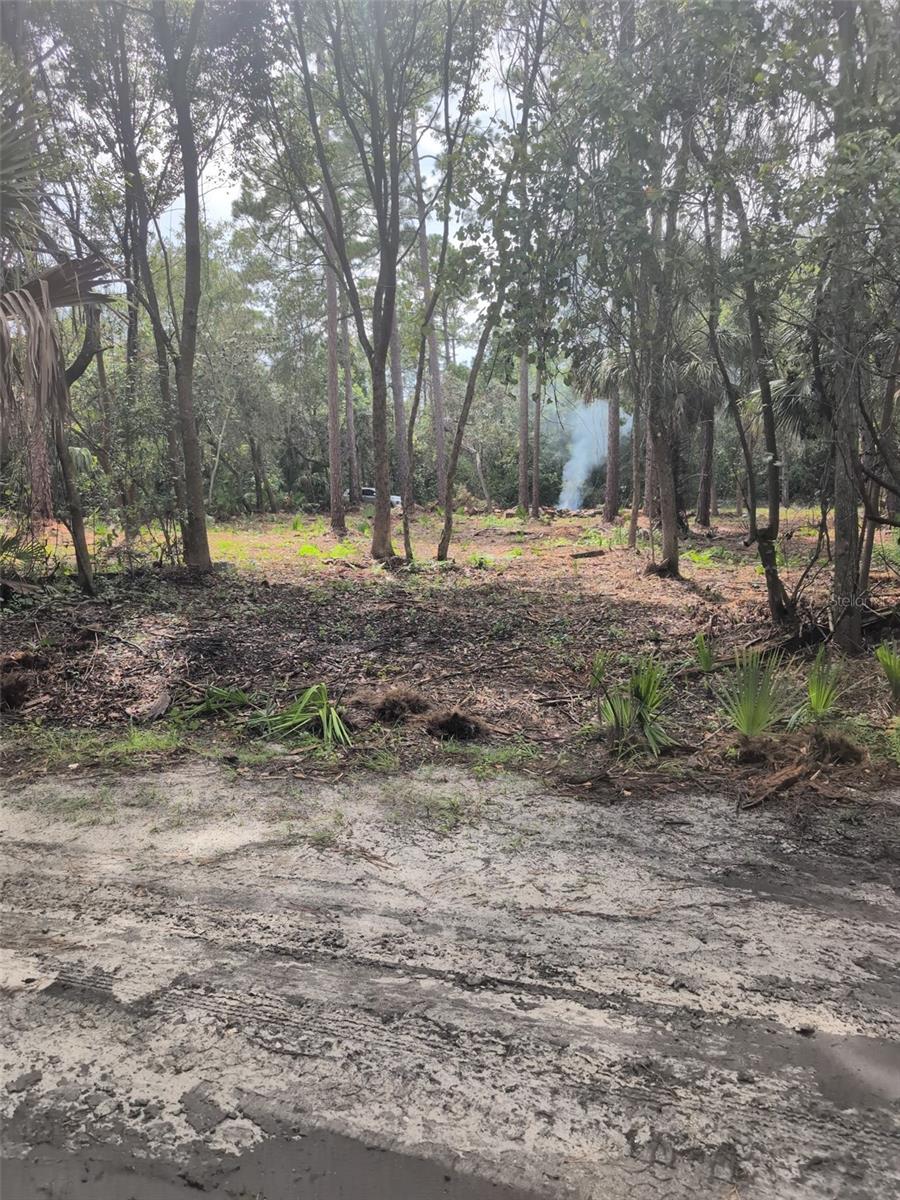 Photo of MARIE AVENUE DELAND FL 32720