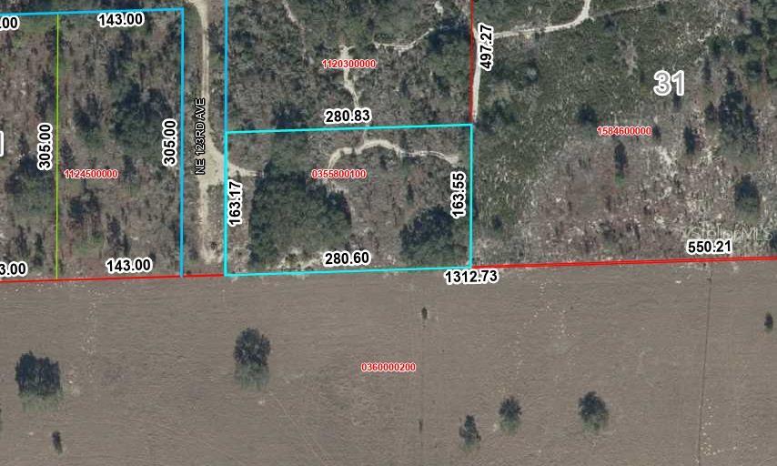 Photo of TBD NE 123RD AVE WILLISTON FL 32696