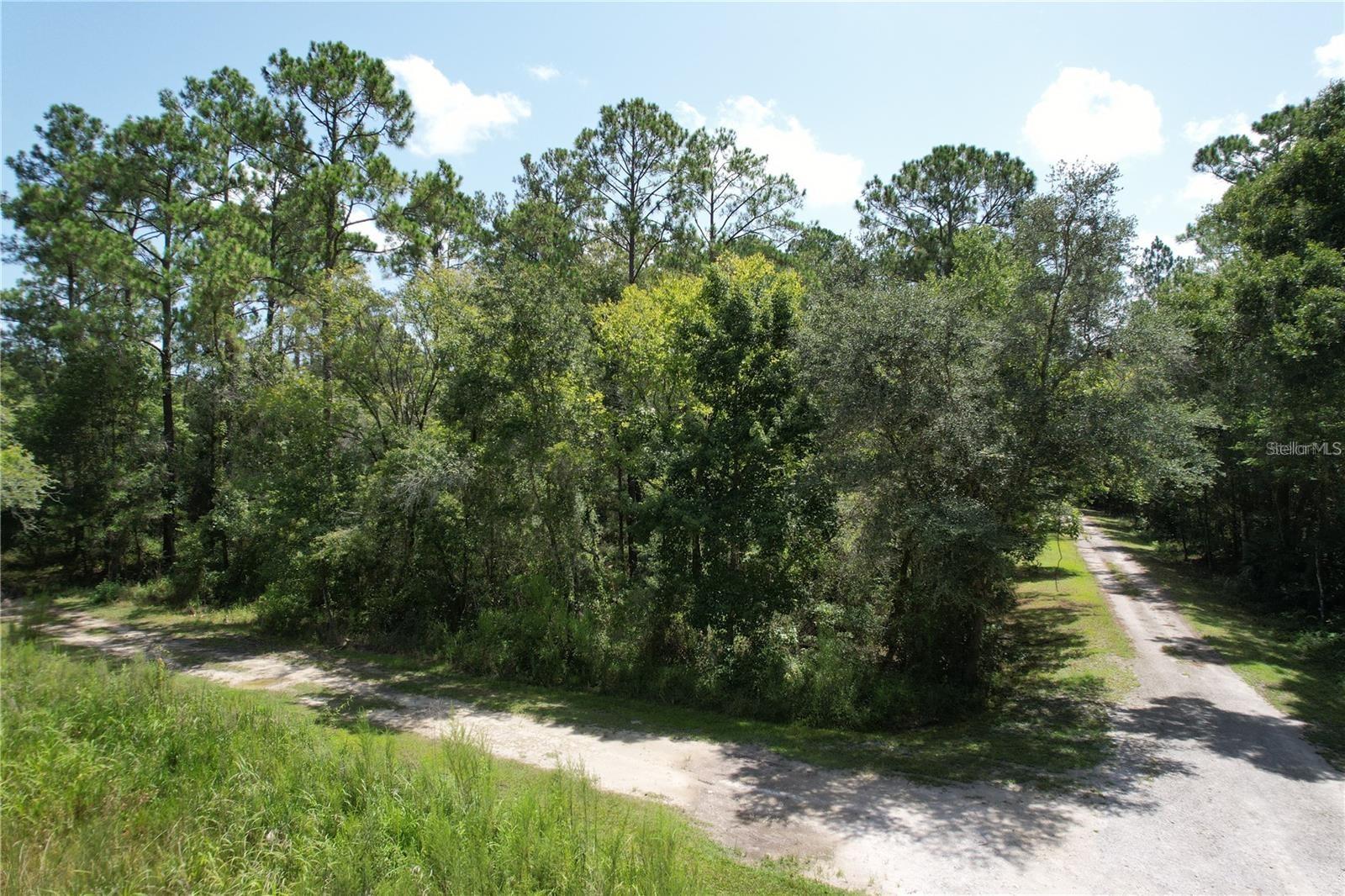Photo of MERRYHILL DRIVE WEBSTER FL 33597
