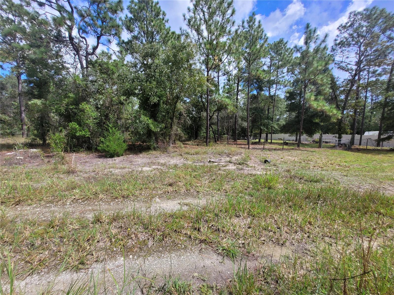 Photo of 0 NE 3RD PL WILLISTON FL 32696