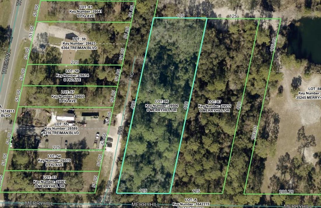 Photo of MERRYHILL DRIVE WEBSTER FL 33597