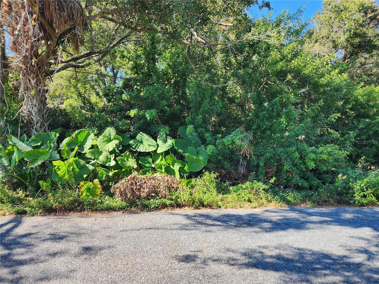 Photo of 00 ATIS STREET #Lot #9 NEW PORT RICHEY FL 34653