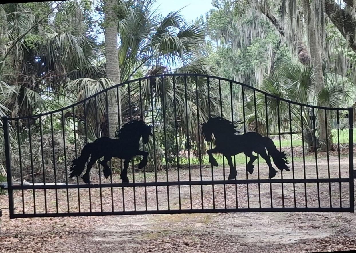 Photo of 6800 NW HIGHWAY 320 MICANOPY FL 32667