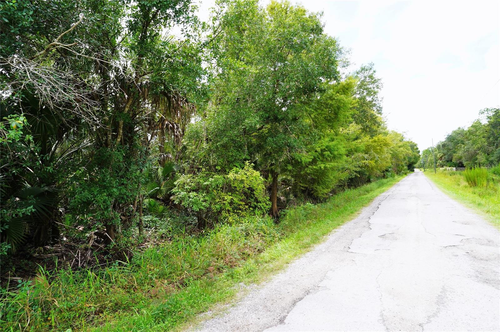 Photo of 2047 SW NASSAU AVENUE ARCADIA FL 34266