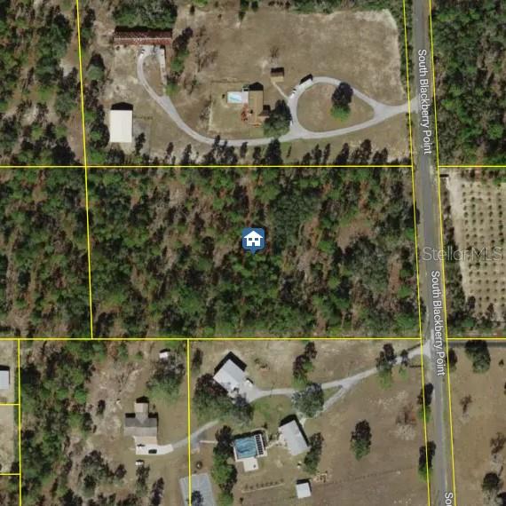 Photo of 7346 S BLACKBERRY POINT HOMOSASSA FL 34446