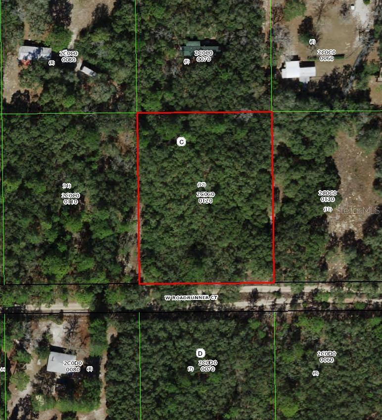 Photo of 4385 W ROADRUNNER COURT HOMOSASSA FL 34446