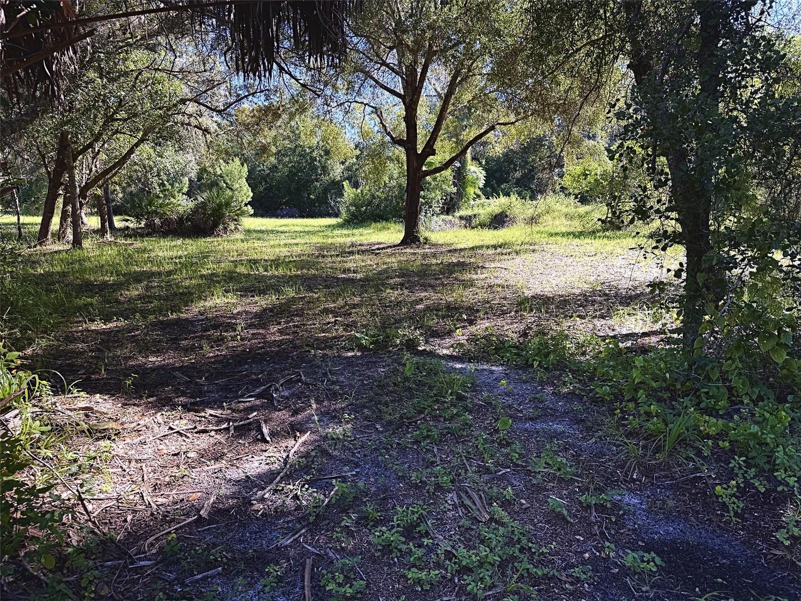 Photo of 9630 ELLIS STREET NEW PORT RICHEY FL 34654