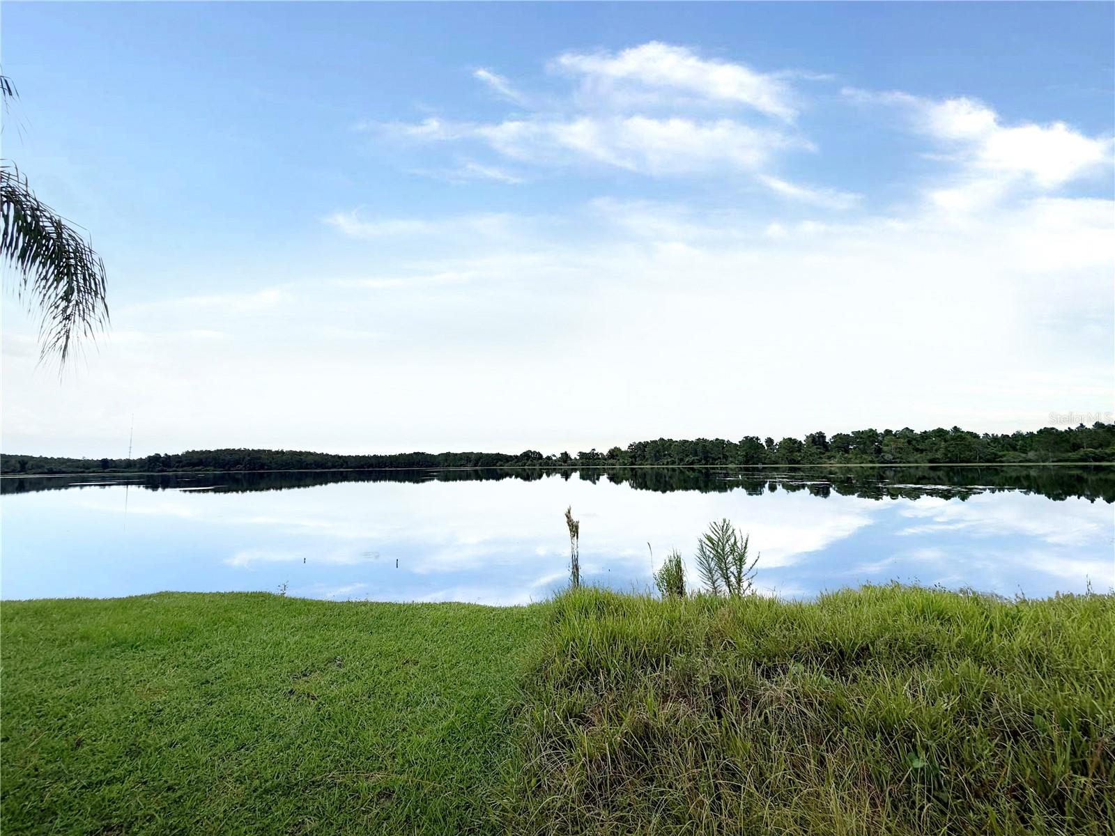 Photo of 14639 GRAND COVE DRIVE ORLANDO FL 32837
