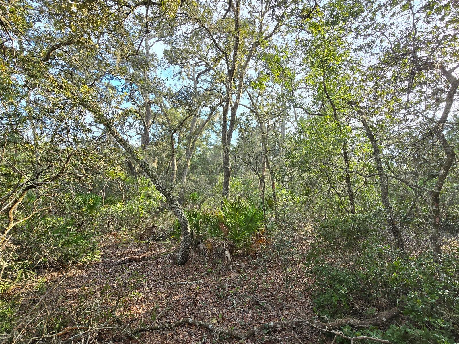 Photo of FISHER WAY OCKLAWAHA FL 32179