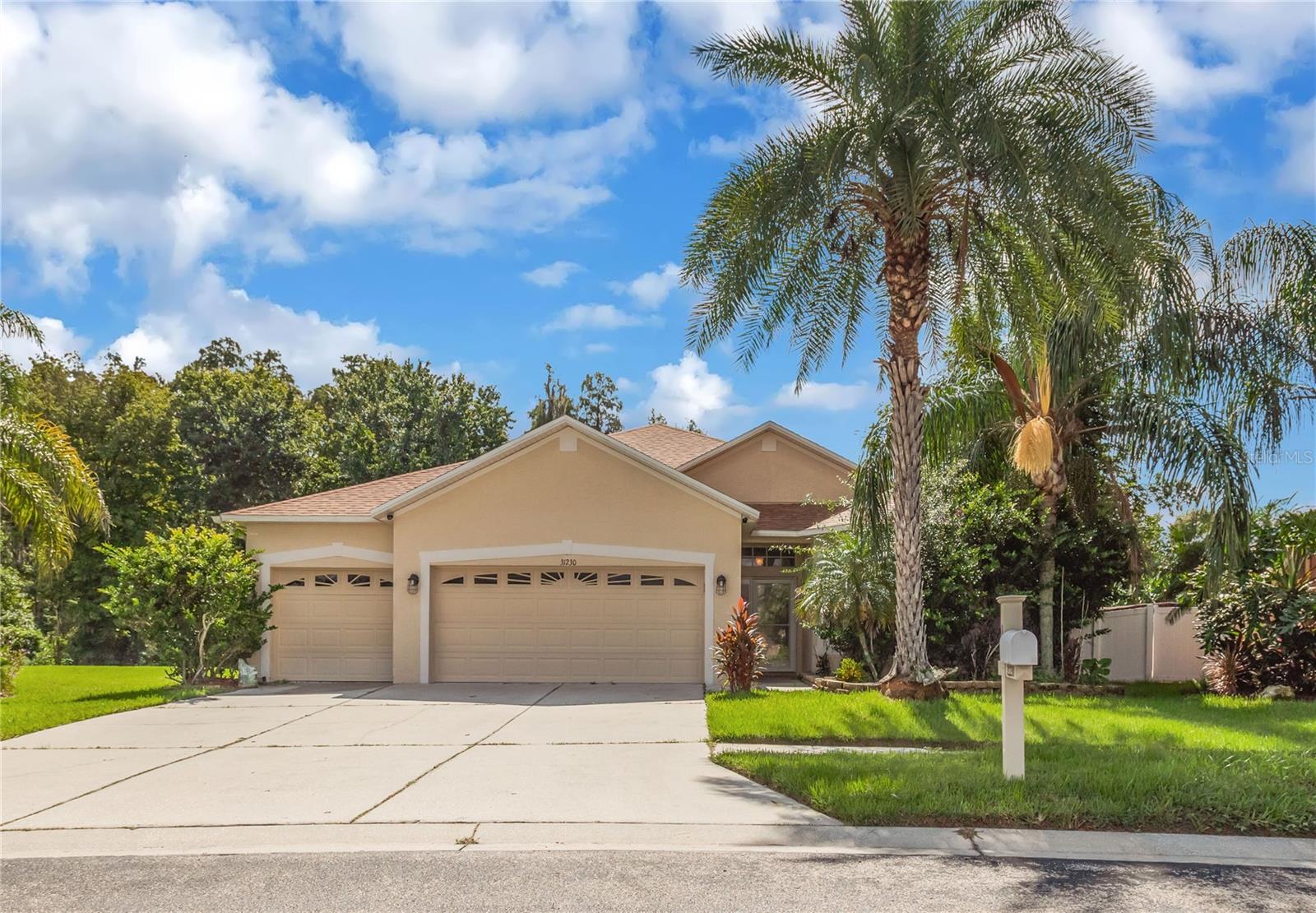 Photo of 31230 ALCHESTER DRIVE WESLEY CHAPEL FL 33543