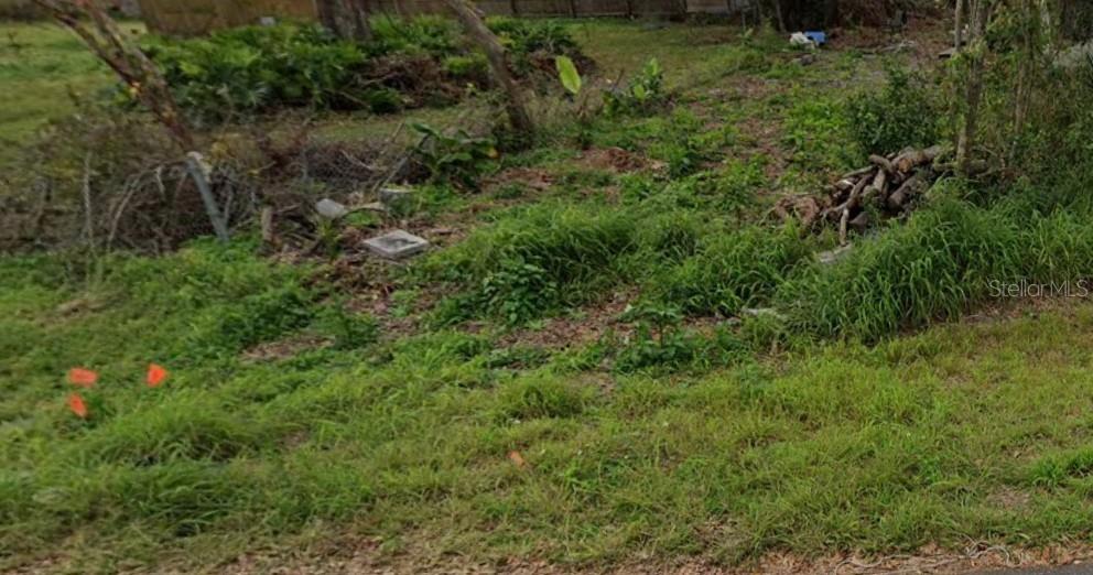 Photo of LEONARD RIVERVIEW FL 33569