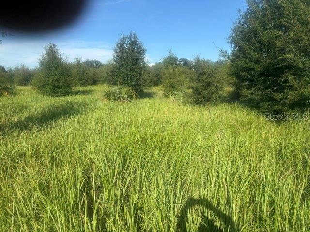 Photo of WELCOME ROAD #Lot 1 LITHIA FL 33547
