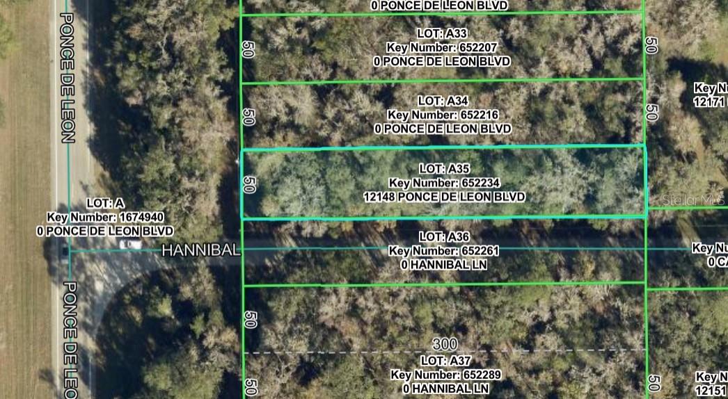 Photo of 12148 PONCE DE LEON BOULEVARD BROOKSVILLE FL 34601