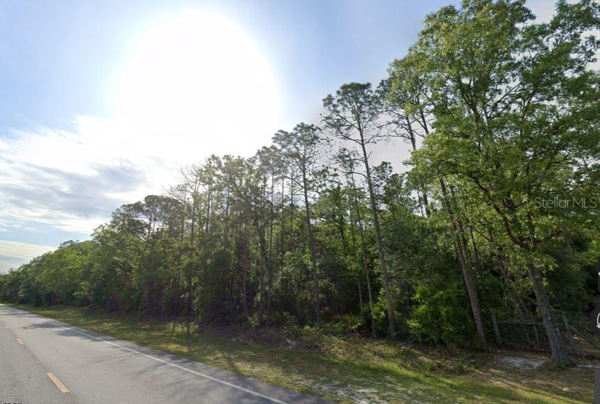 Photo of NE HWY 351 OLD TOWN FL 32680