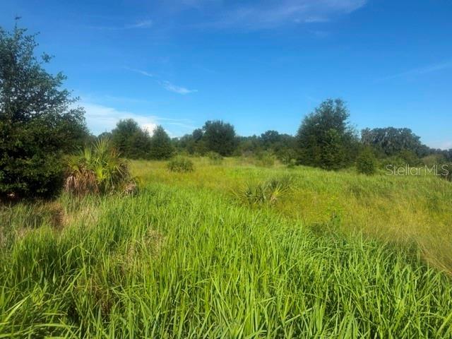 Photo of WELCOME ROAD #Lot 3 LITHIA FL 33547