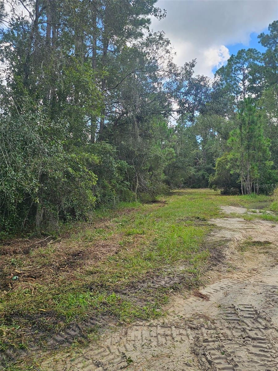 Photo of 1746 COUNTRY WOODS DRIVE LAKELAND FL 33809