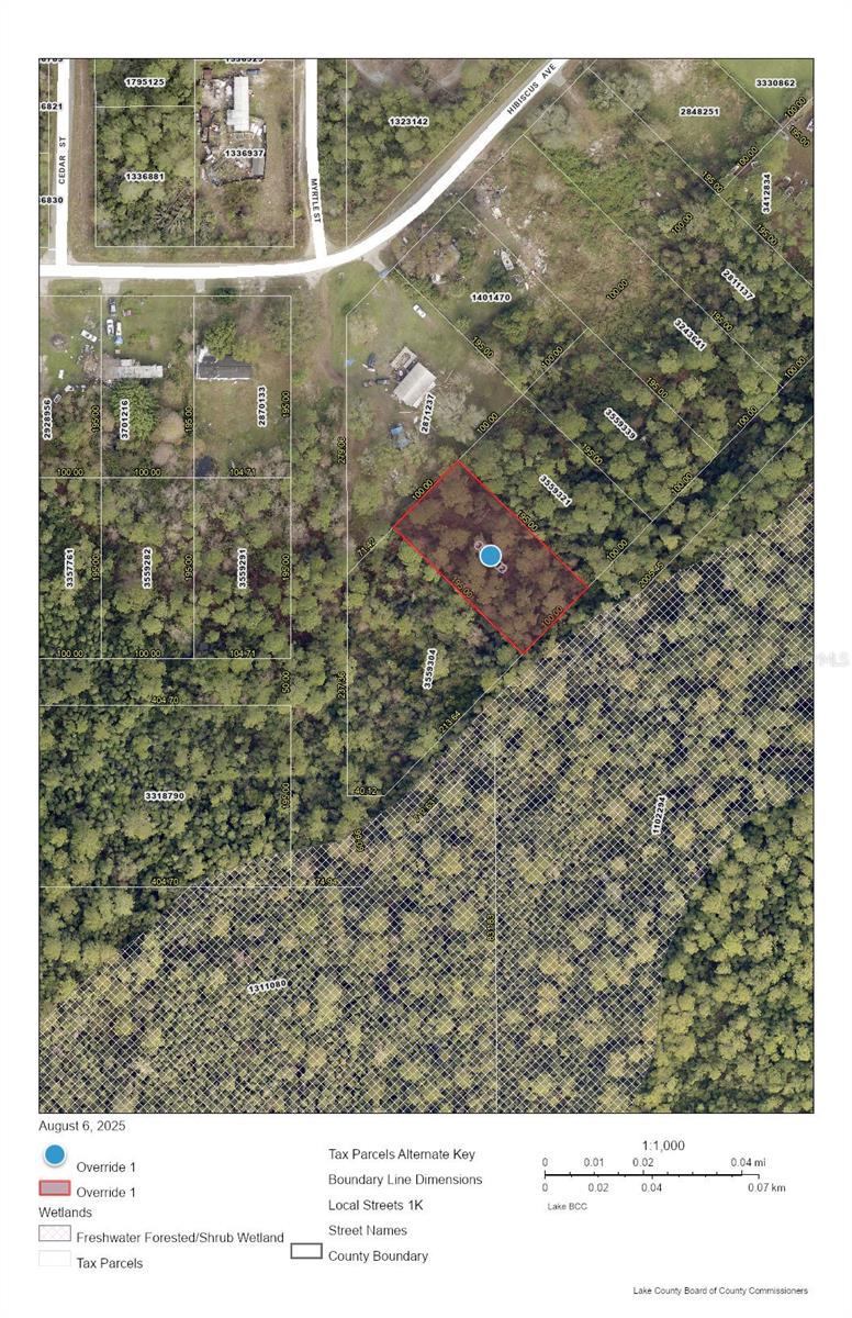Photo of RACCOON STREET PAISLEY FL 32767