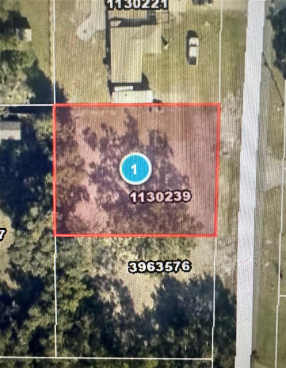 Photo of 545 OGDEN AVENUE UMATILLA FL 32784