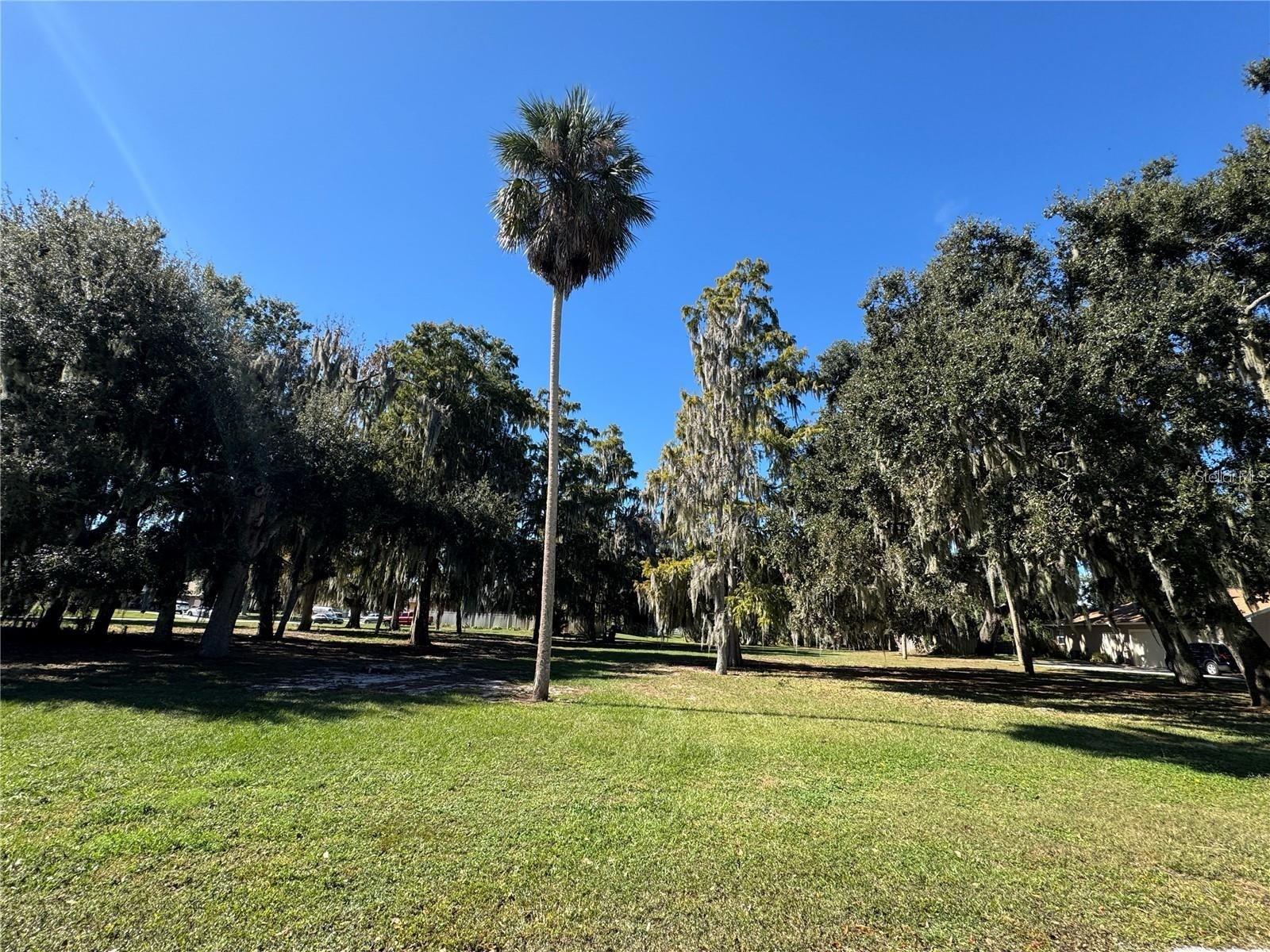 Photo of LAKE PIERCE DRIVE LAKE WALES FL 33898