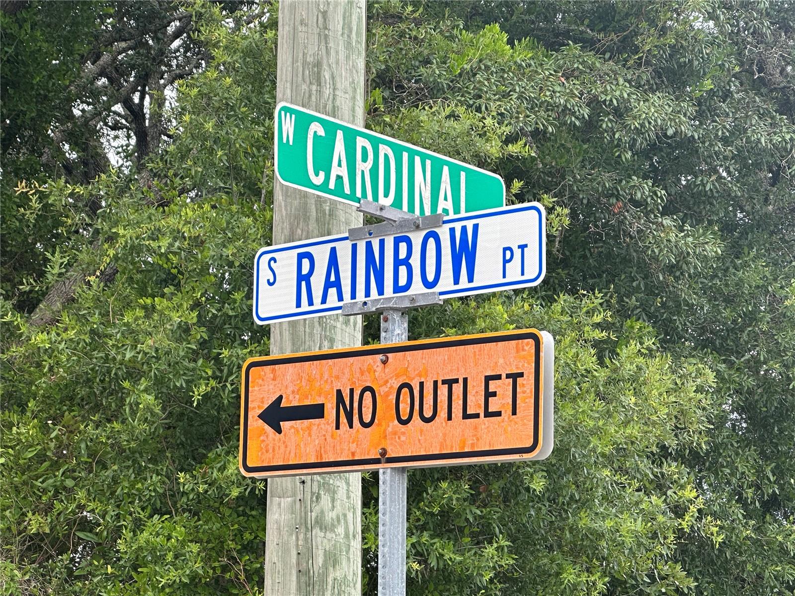 Photo of 6977 S RAINBOW POINT HOMOSASSA FL 34446
