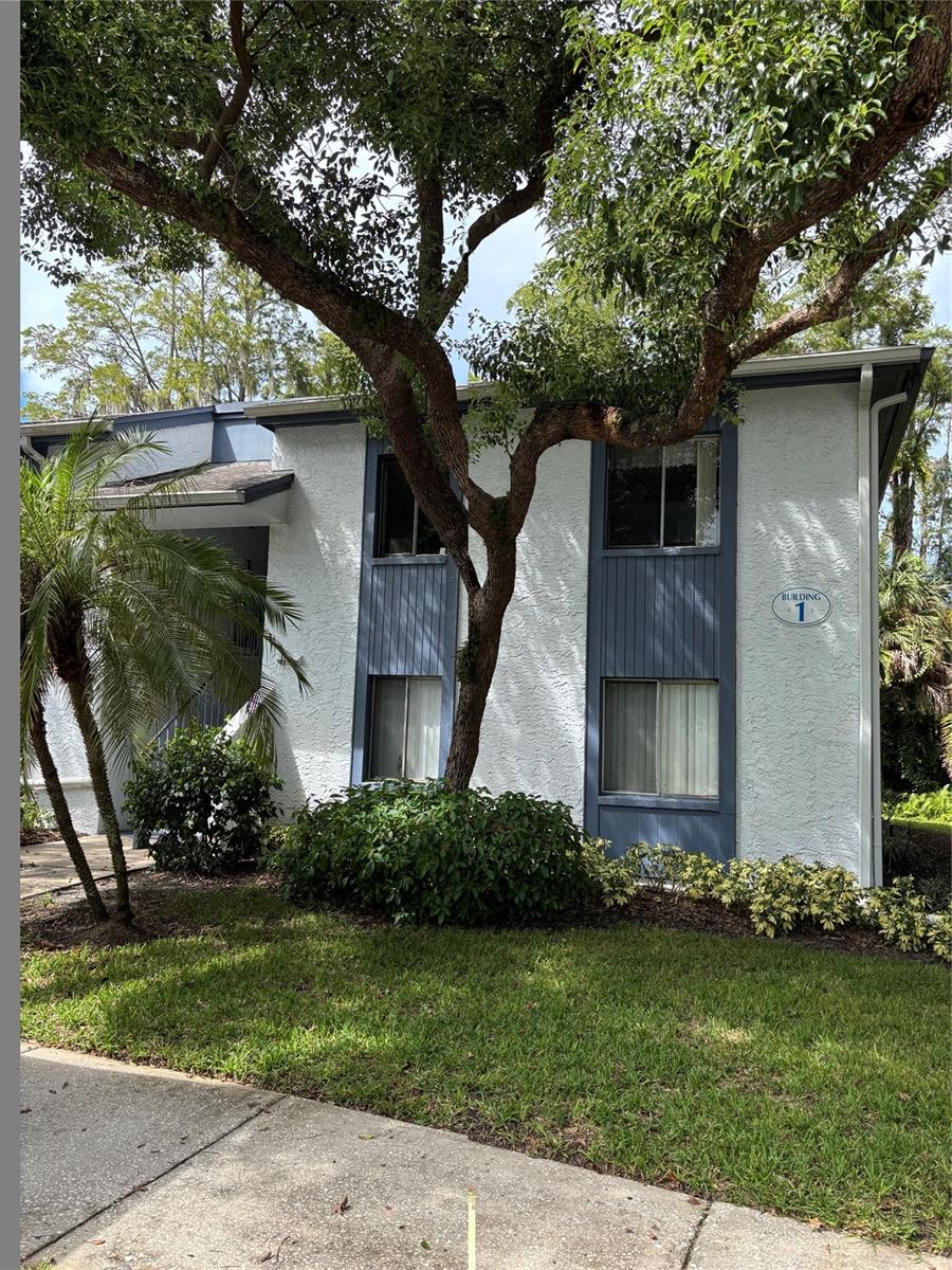 Photo of 104 CYPRESS LANE #104 OLDSMAR FL 34677
