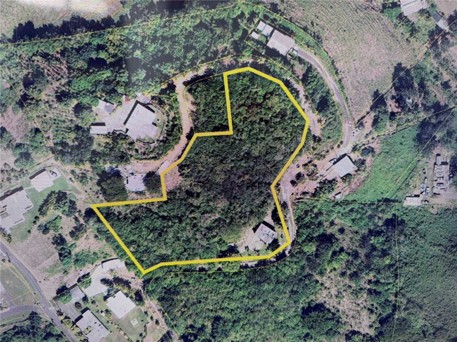 Photo of 0.7 KM CARR. 184 BO. CACAO ALTO PATILLAS PR 00723