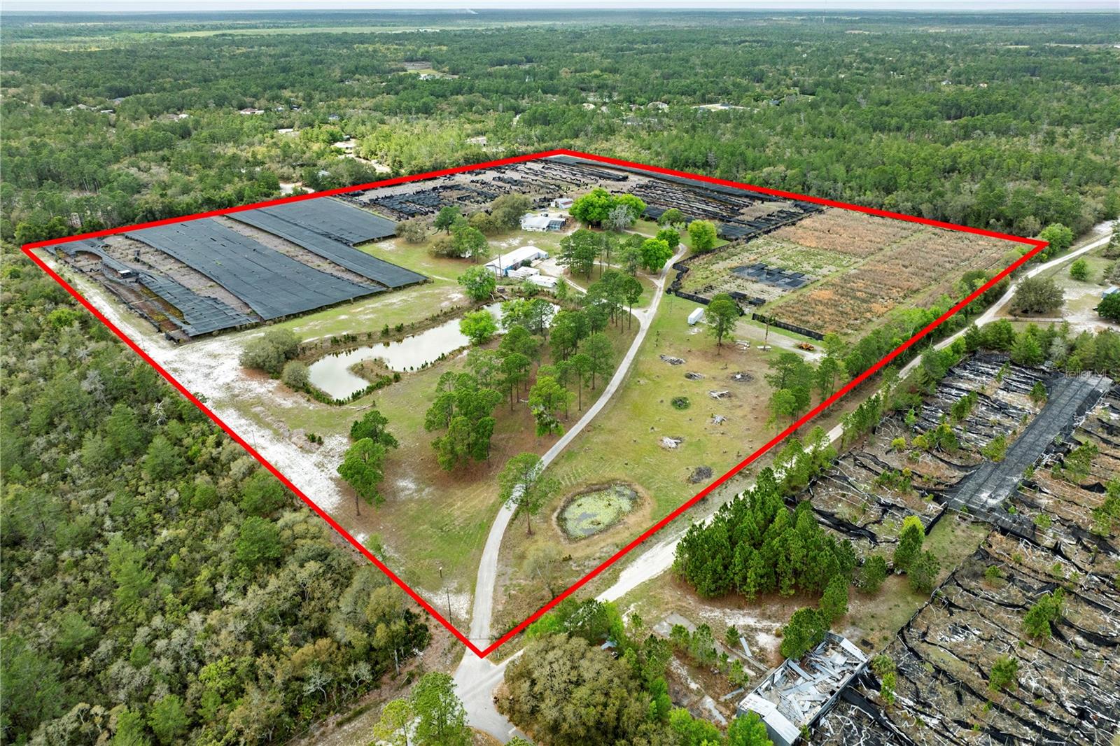 Photo of 40945 BEACH ROAD EUSTIS FL 32736