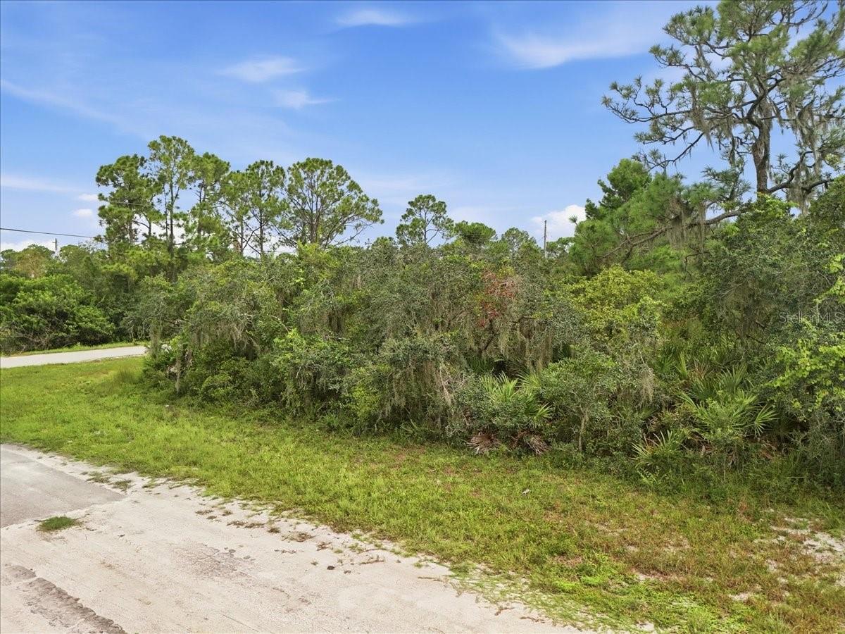 Photo of 213 MARLIN STREET LAKE PLACID FL 33852