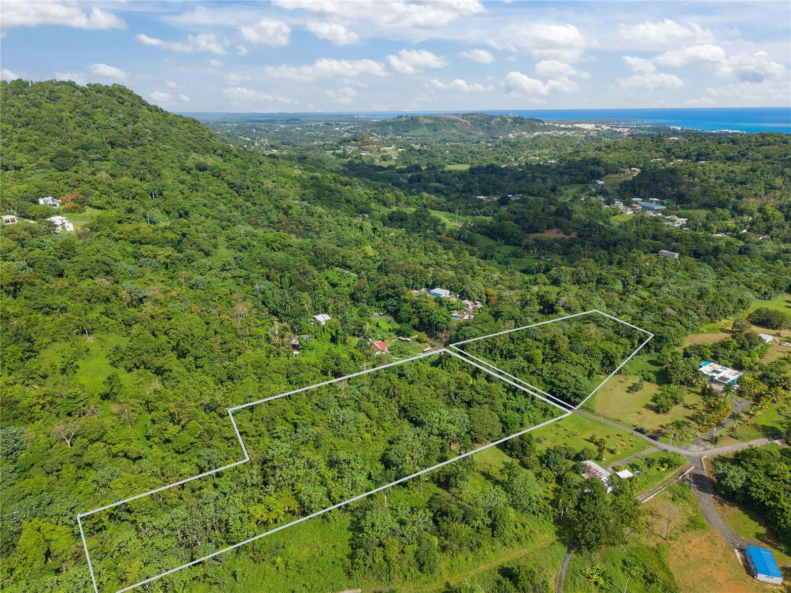 Photo of MATA DE PLATANO LUQUILLO PR 00773