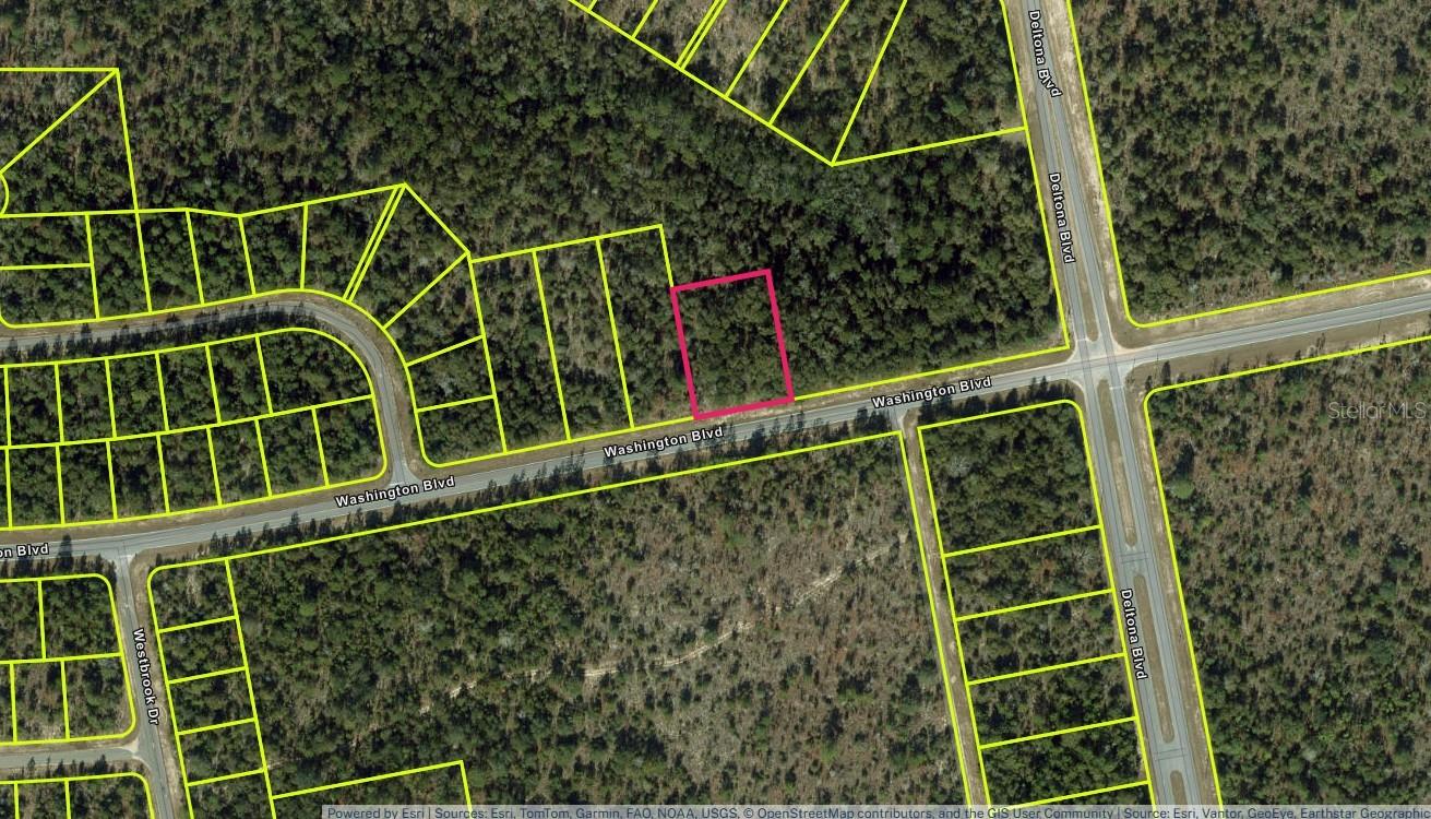 Photo of Lot 29 Unit 6 Blk 365 WASHINGTON BOULEVARD CHIPLEY FL 32428