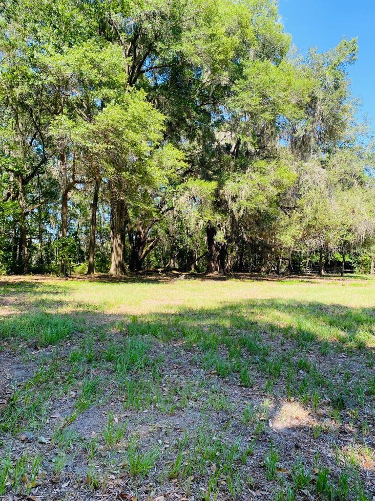 Photo of 17401 NW COUNTY ROAD 241 ALACHUA FL 32615