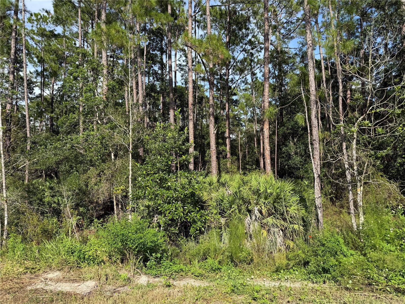 Photo of 10TH AVENUE DELAND FL 32724