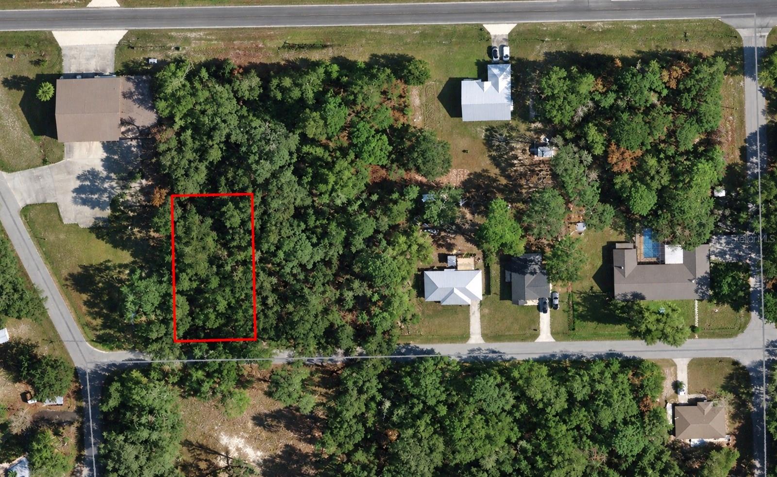 Photo of SE 171ST CT OCKLAWAHA FL 32179