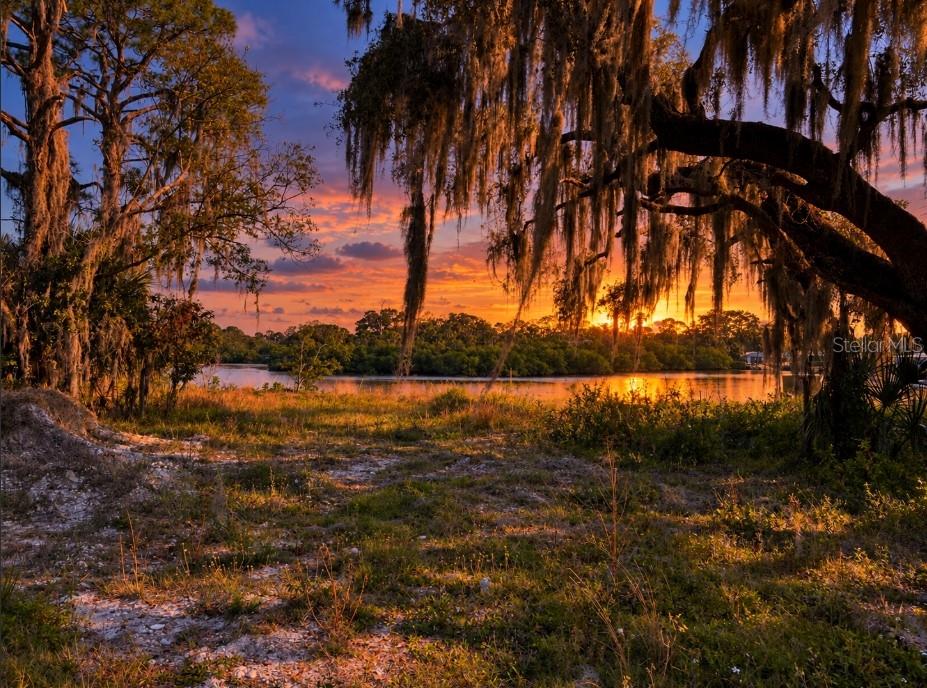 Photo of TIBERIUS TRAIL NEW PORT RICHEY FL 34652