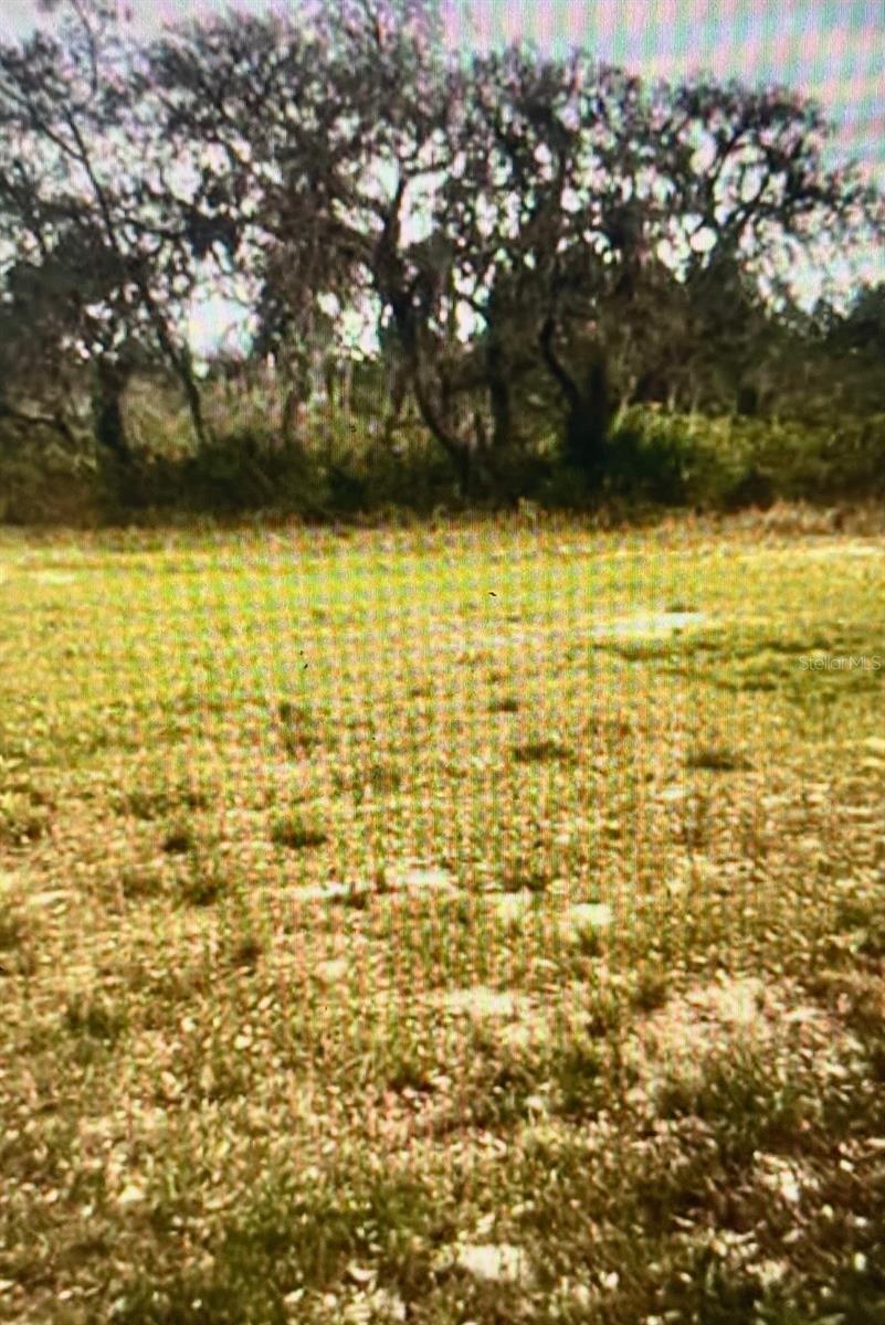 Photo of CENTRAL AVENUE FROSTPROOF FL 33843