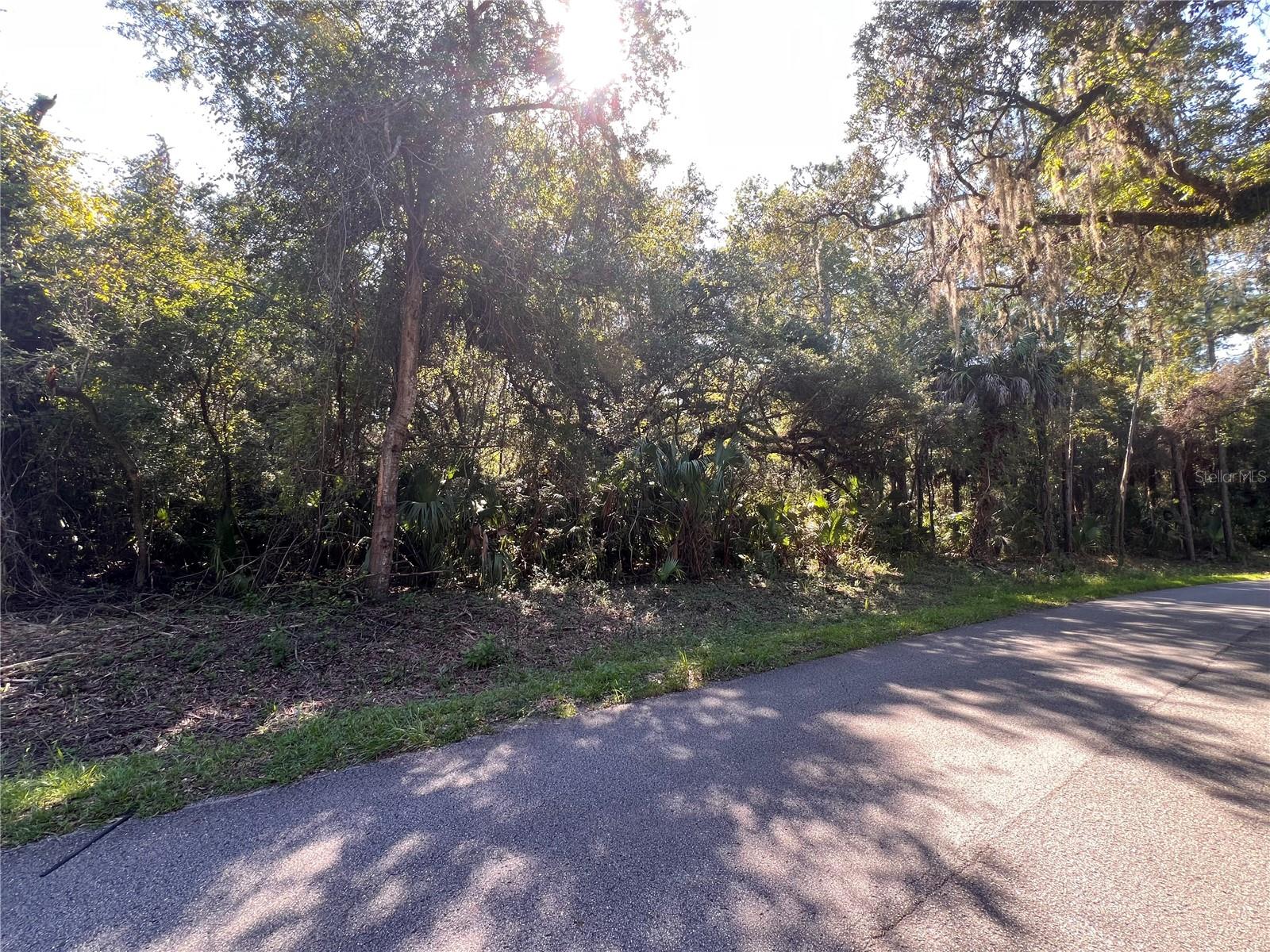Photo of No Address Listed CRYSTAL RIVER FL 34428