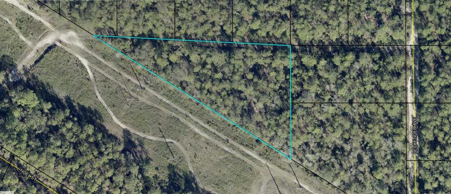 Photo of EDDIE STREET HASTINGS FL 32145