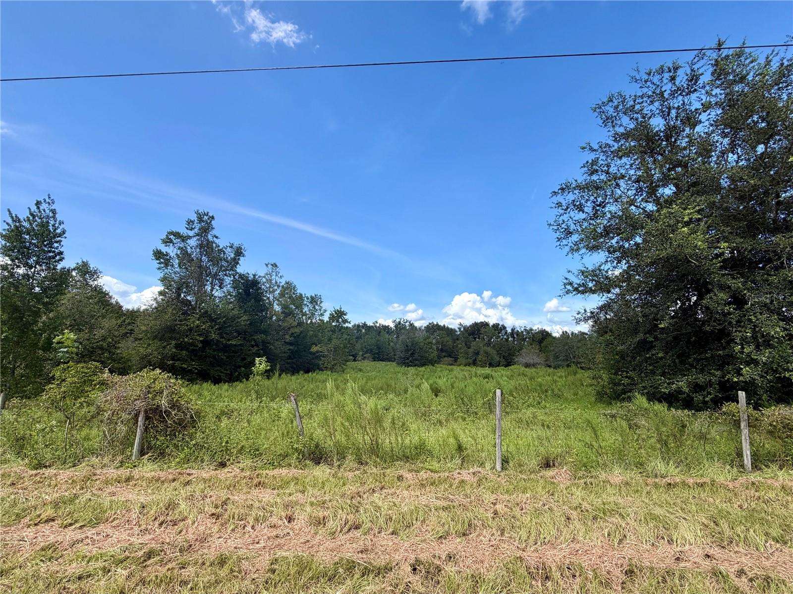 Photo of NW 96TH PL BRANFORD FL 32008