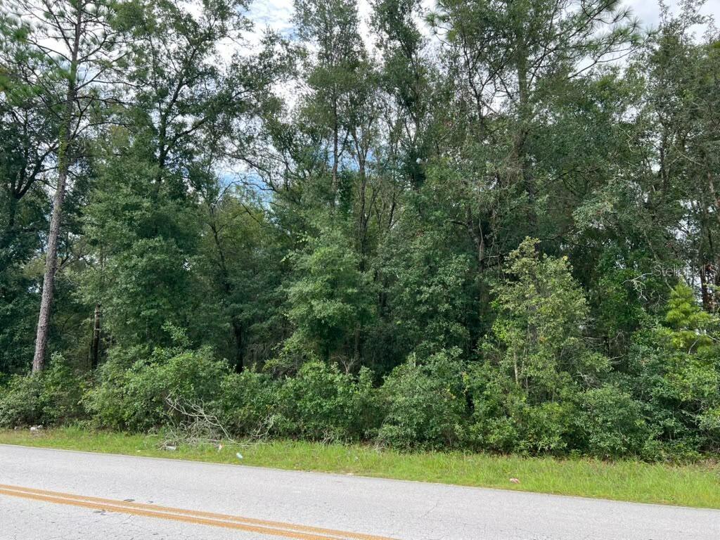 Photo of 0 SE 132ND PL OCKLAWAHA OCKLAWAHA FL 32179