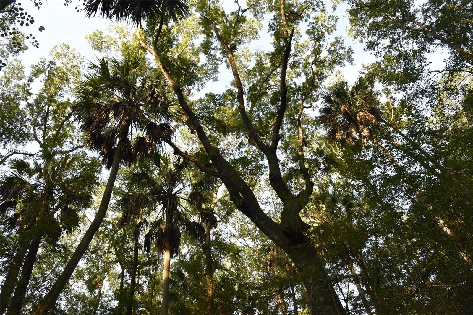 Photo of MIDDLE ROAD HILLIARD FL 32046