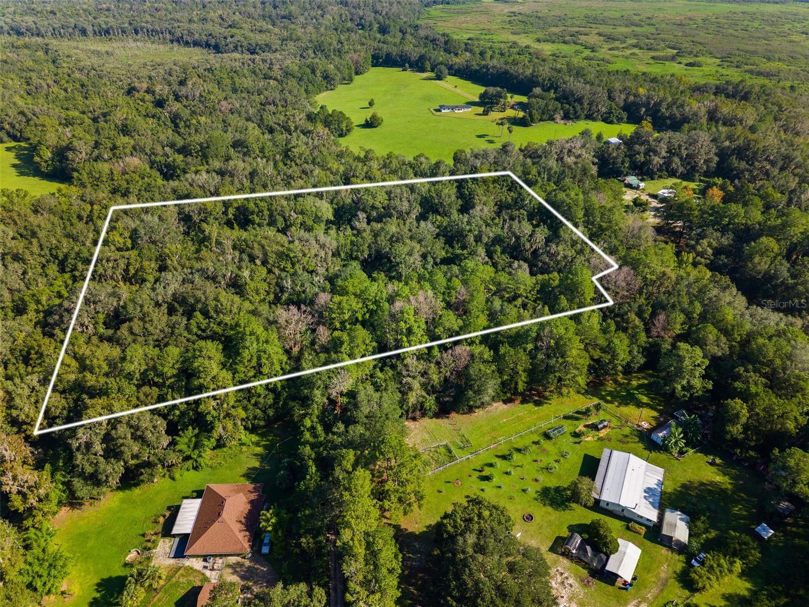 Photo of 3426 SE 185TH AVENUE MICANOPY FL 32667