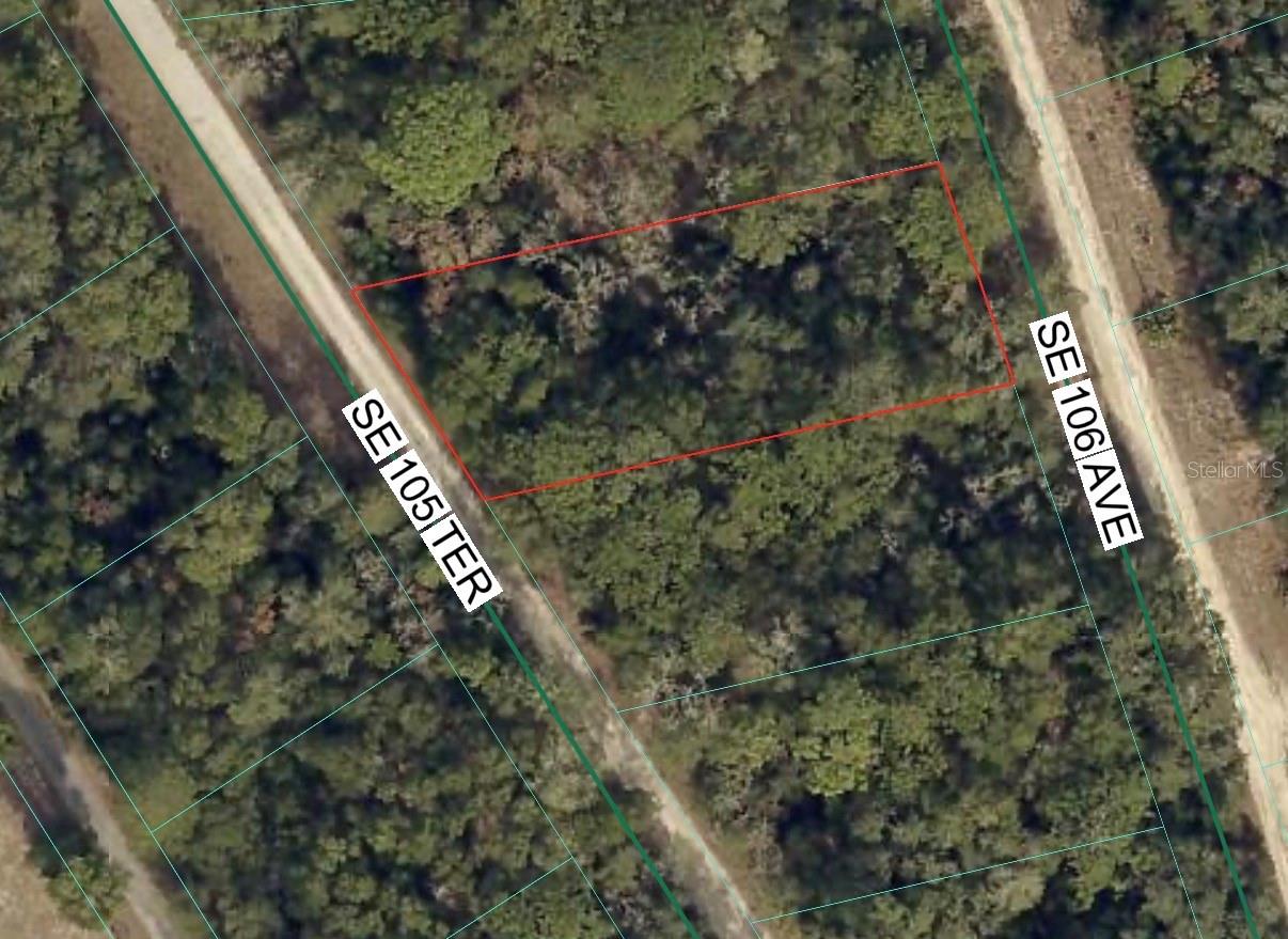 Photo of SE 105 TH TERRACE OCKLAWAHA FL 32179