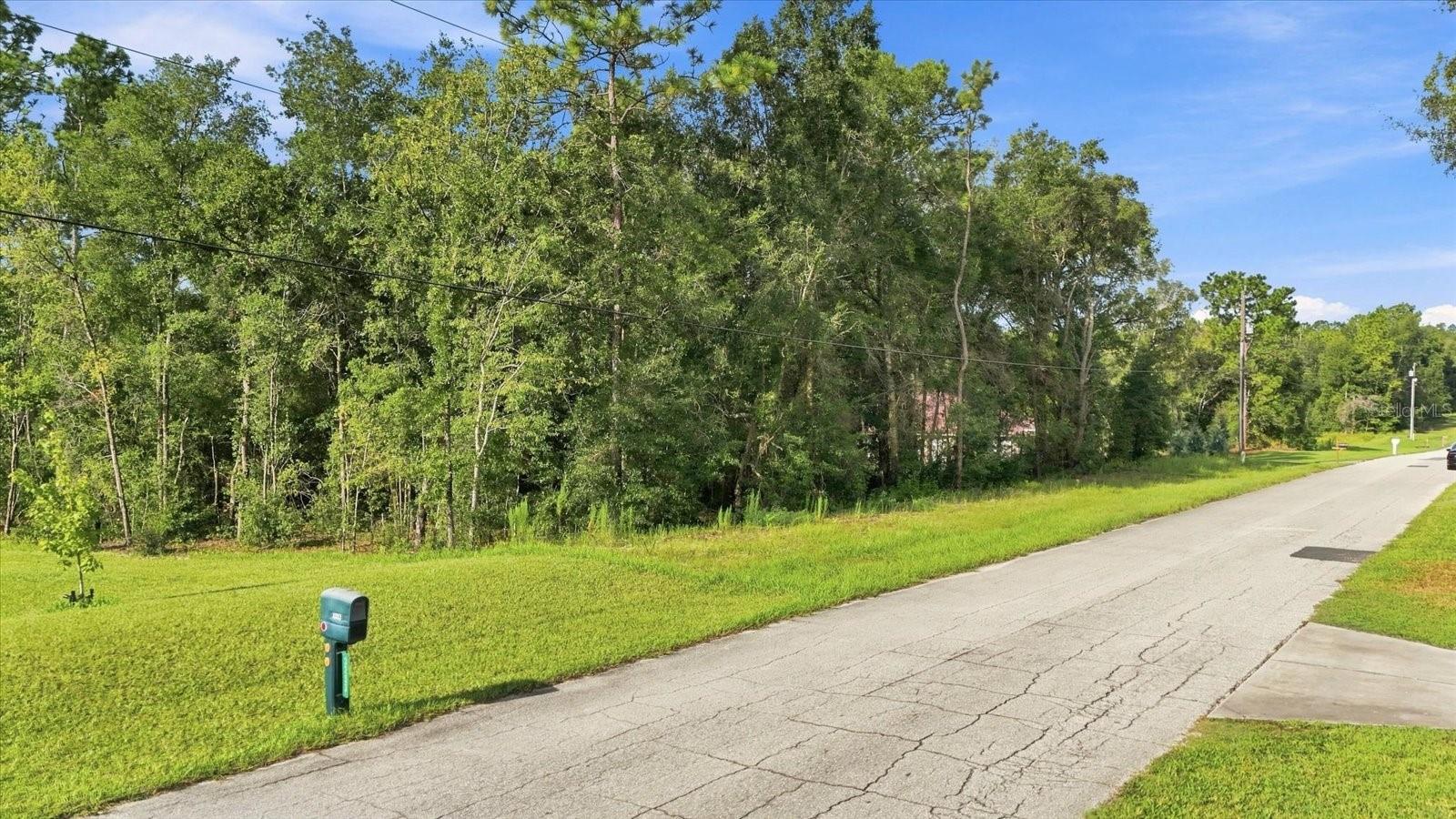 Photo of 3286 W BIRDS NEST DRIVE BEVERLY HILLS FL 34465