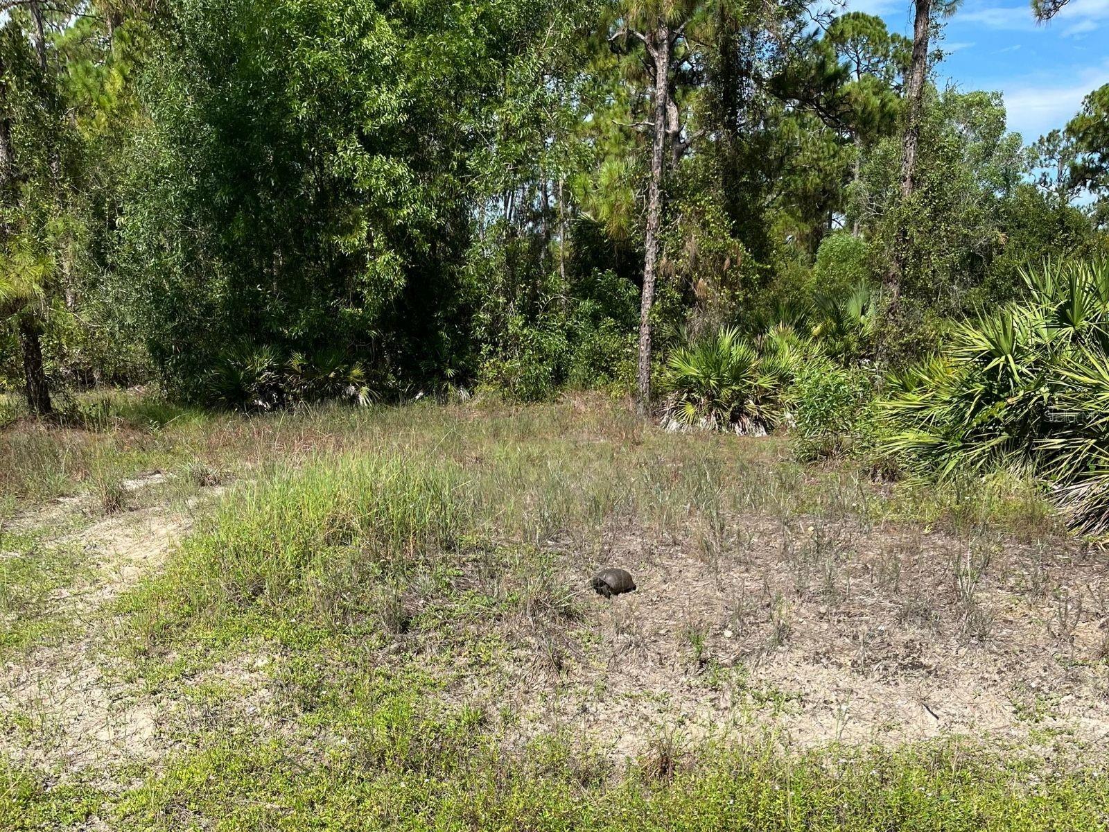 Photo of 12 MONROE AVENUE LEHIGH ACRES FL 33936