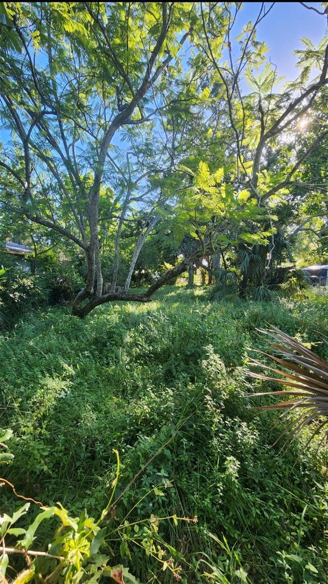 Photo of 0 ERIE ST ST PETERSBURG FL 33712